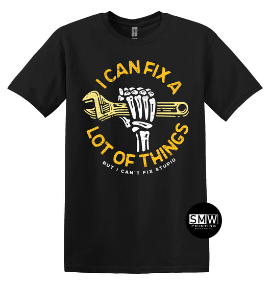 Can't Fix Stupid